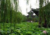 6 days (5 nights) tour in Qingdao Jinan Qufu and TaiAn pictures