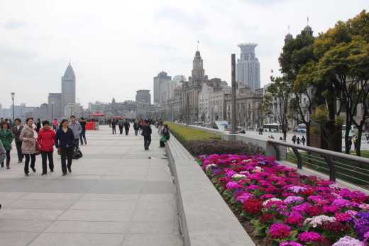 Spring flowers along the Bund.