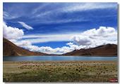 6 Days Tour to Lhasa with Yamdrok Lake pictures