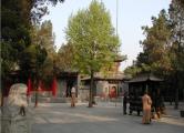 2 Days Tour for Longmen Grottoes Cave & Shaolin Temple pictures