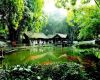 1 Day Chengdu City Best Tour