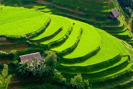 Longji Terrace Tour