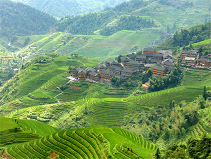 Guilin Terraced Field