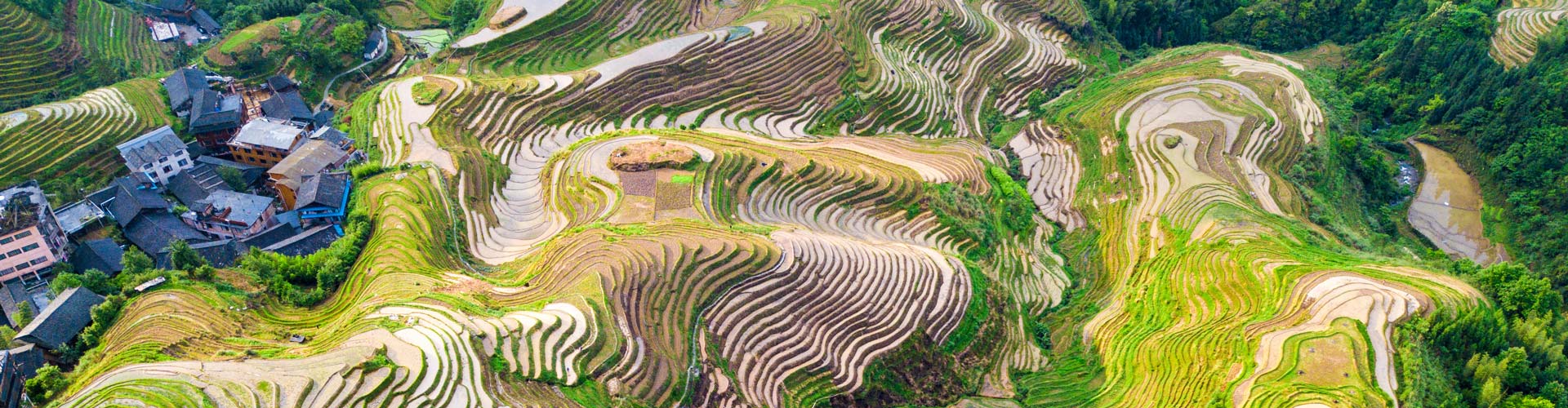 1 Day Longji Terraced Fields and Minority Villages Tour