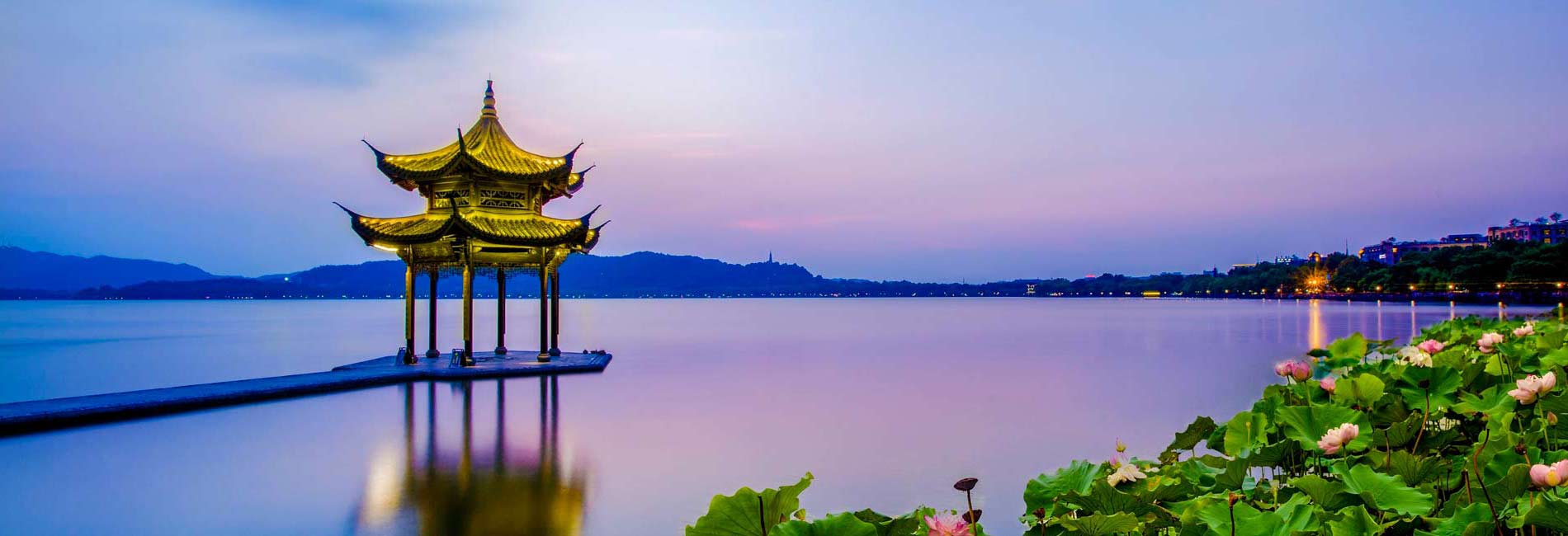 hangzhou West Lake longjing Tea Tours