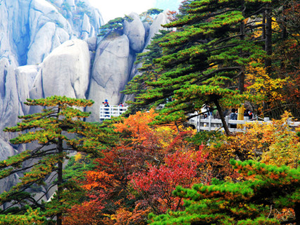 Mt.Huangshan