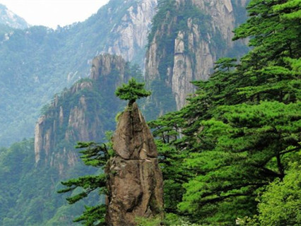 3 Day Huangshan Shanghai Bullet Train