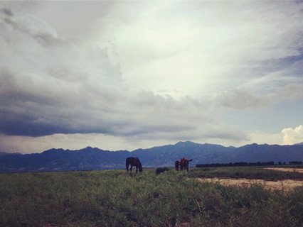 kangxi grassland