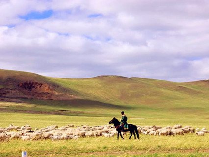 kangxi grassland