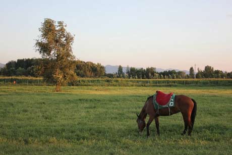 1 Day Kangxi Grassland Tour from Beijing