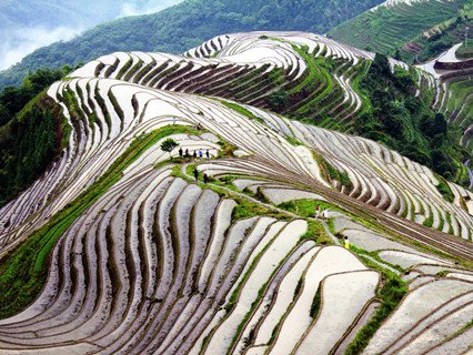 Longji Terrace