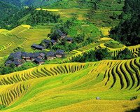 Longji Terrace