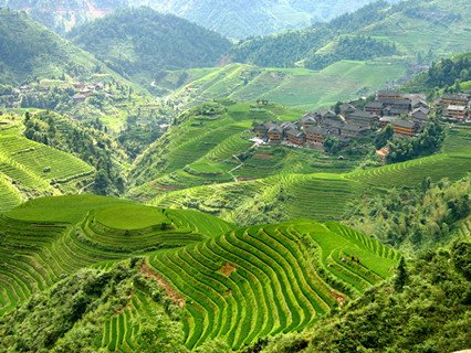 Longji Terrace