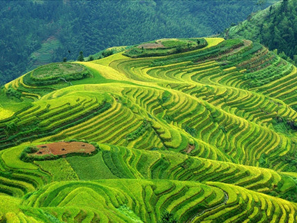 Longji Terrace