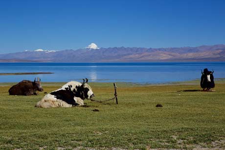 16 Days Tour to Tibet Mt. Kailash Adventure