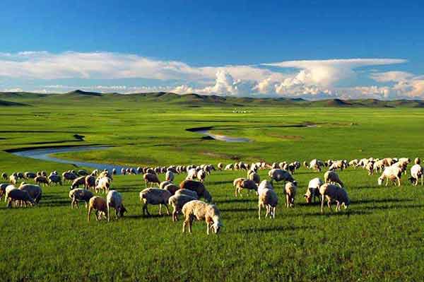 mongolia tour