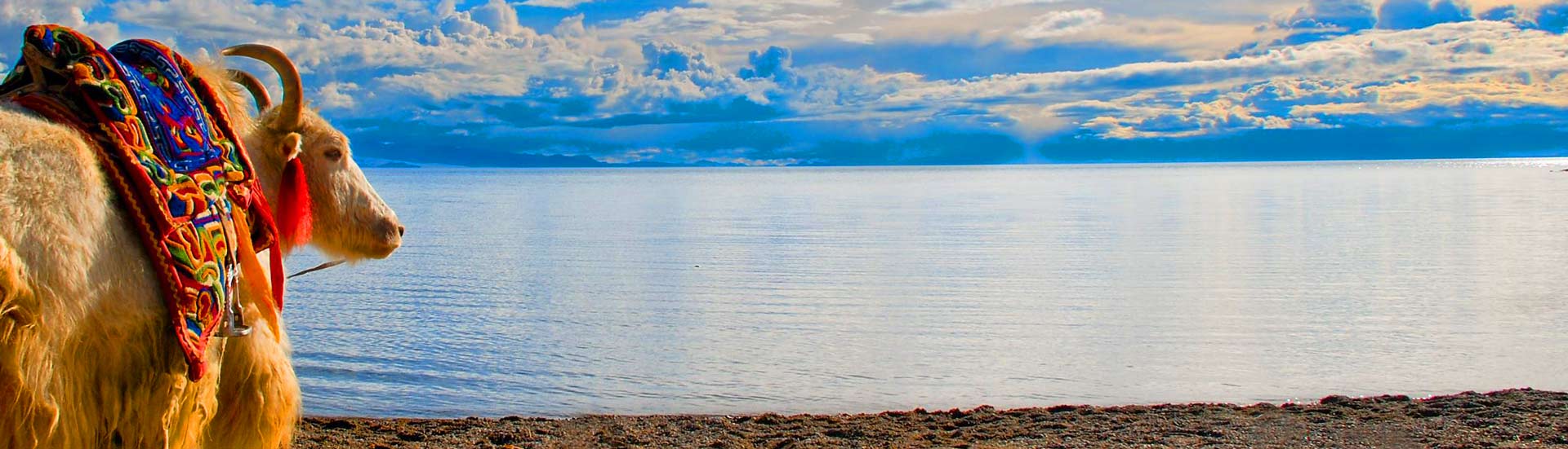 4 Days Lhasa & Namtso Lake Tour