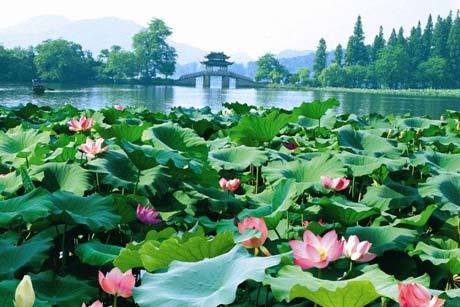 Three-quarter Day Hangzhou Private Tour