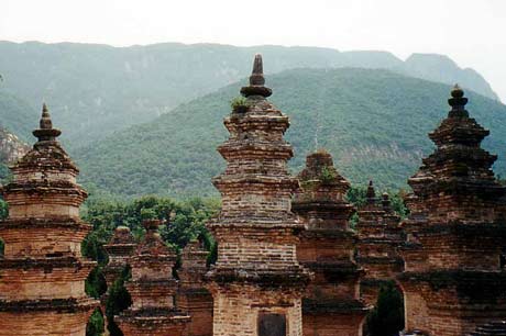 2 Days Tour Longmen Grottoes Cave Shaolin Temple