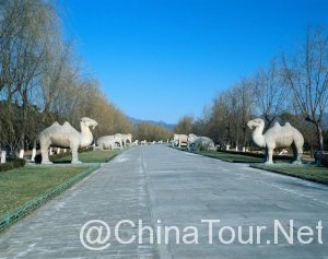 Secret road(Shenlu)