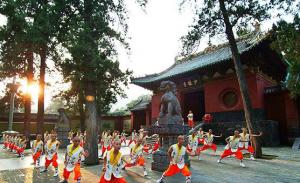 2 Days Tour: Longmen Grottoes and Shaolin Temple (by train) pictures