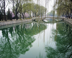 beijing spring tour