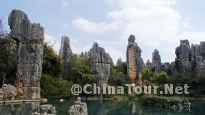 stone forest