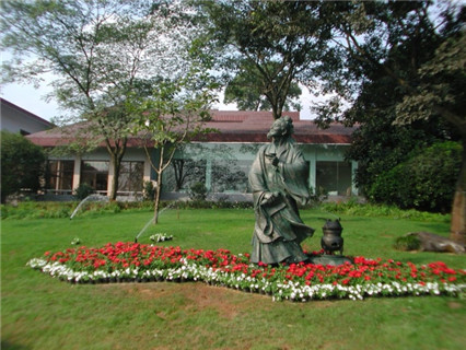 Tea Museum