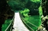 jingdong canyon Canopy Walkway