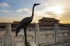 Bronze Crane in the Forbidden City