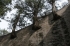 As in other Ming tombs, trees grow from the sides of the stairs leading up to the Soul Tower. It is unclear how this was accomplished.