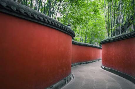 1 Day Chengdu city tour