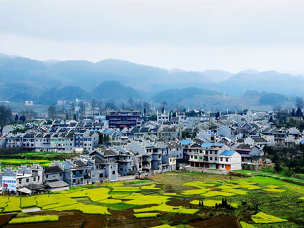 Yajiang Town