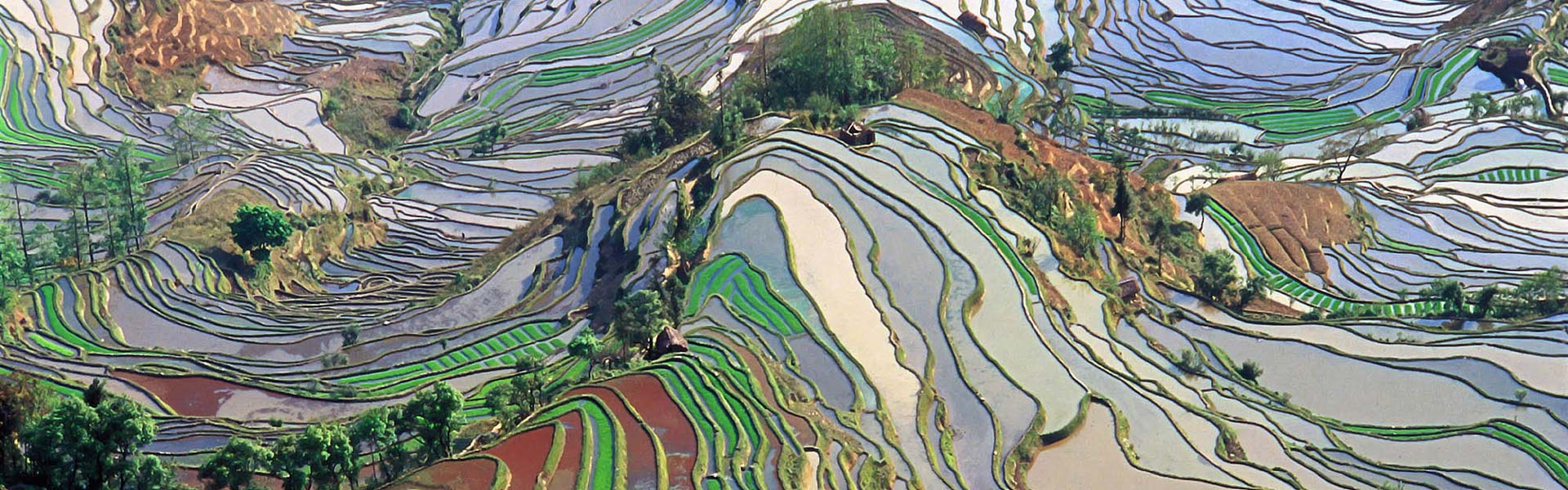 3 Days Jianshui and Yuanyang Hani Rice Terraces Group Tour